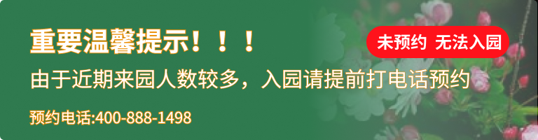 上海汇龙园陵园